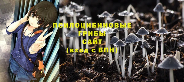 молекула духа Балахна
