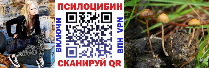 Псилоцибиновые грибы ЛСД  Реж 